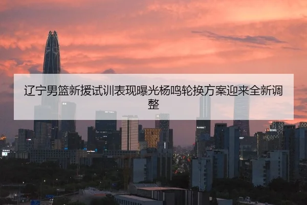 辽宁男篮新援试训表现曝光杨鸣轮换方案迎来全新调整